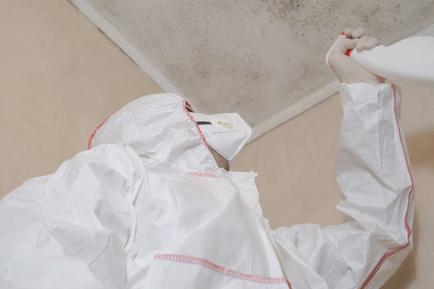 Best Emergency Mold Removal  in Okemos, MI